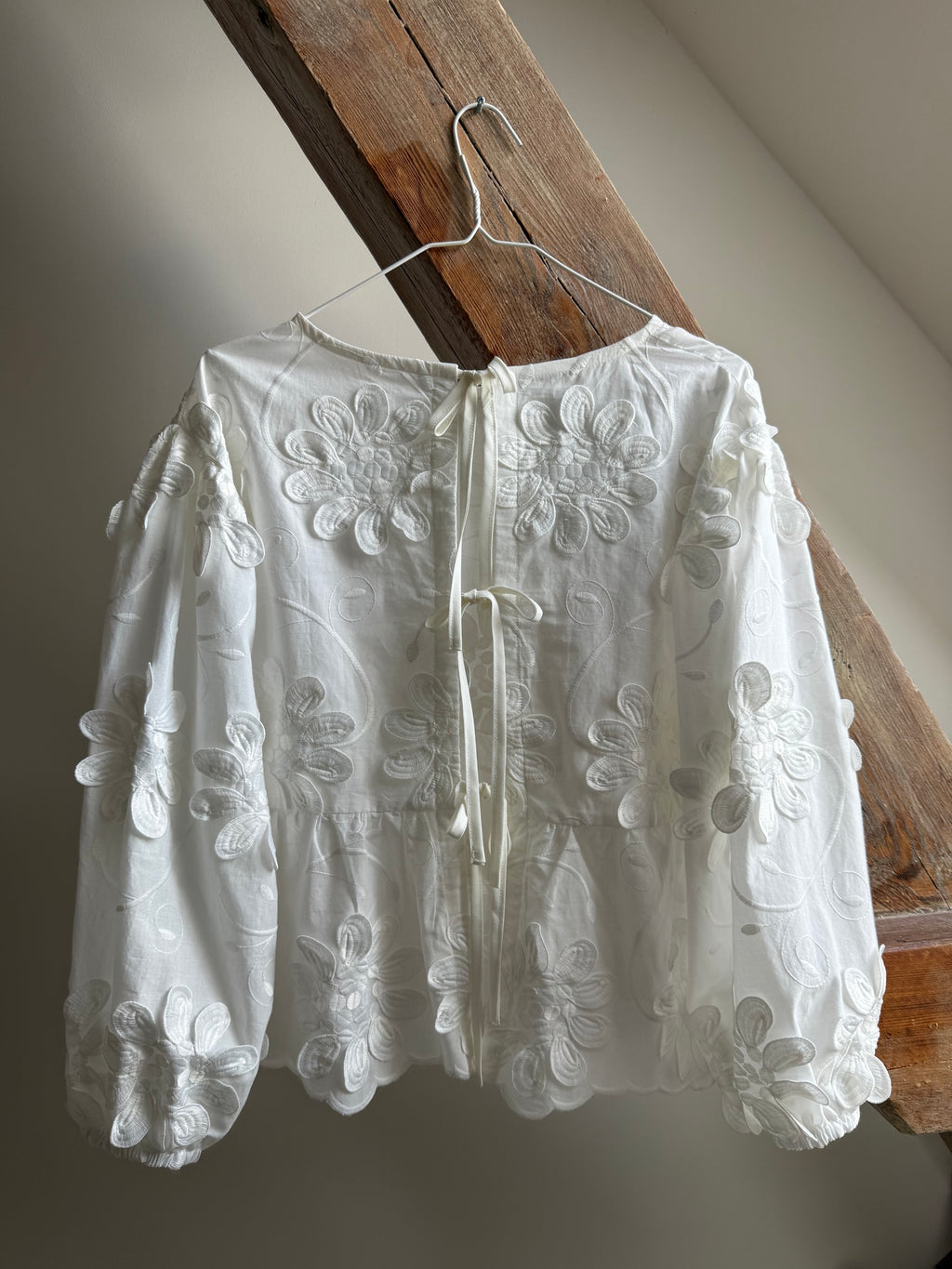 Luisa Blouse 3D